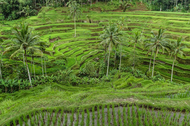 Similar image 8489635