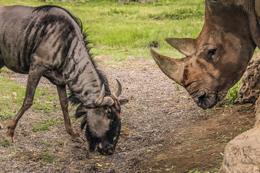 Similar image 8489638