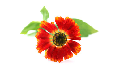 Similar image 8489698