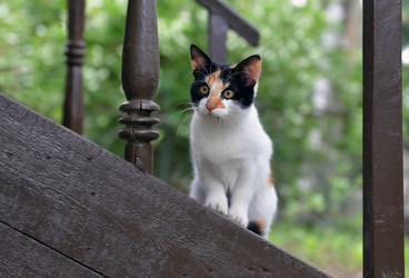 Similar image 8490699