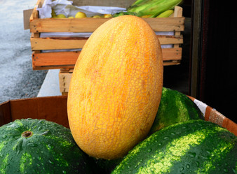 Similar image 8490700