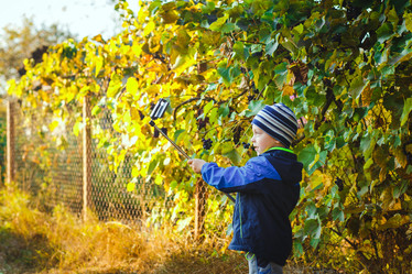 Similar image 8490731