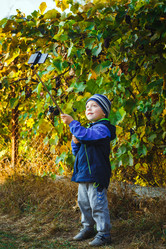 Similar image 8490732