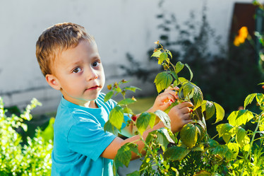 Similar image 8490734