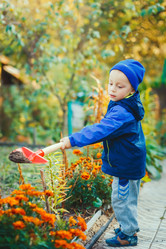 Similar image 8490743