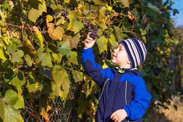 Similar image 8490749