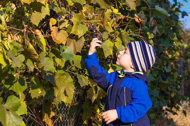 Similar image 8490750