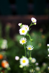 Similar image 8491020