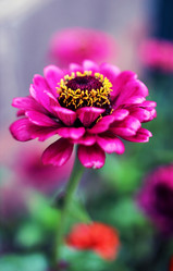 Similar image 8491021