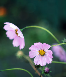 Similar image 8491022