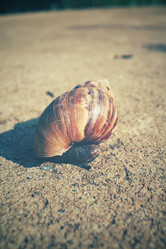 Similar image 8491029