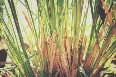 Similar image 8491033