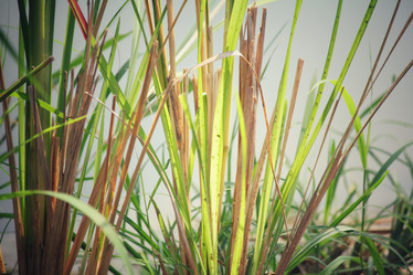 Similar image 8491034