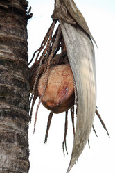 Similar image 8491035