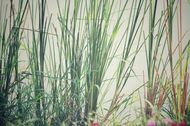 Similar image 8491036