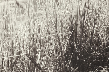 Similar image 8491037