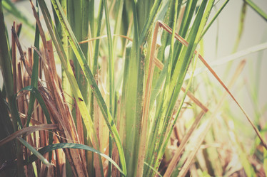 Similar image 8491038