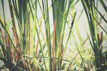 Similar image 8491039