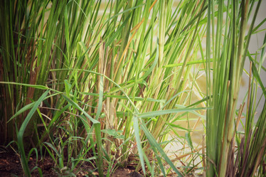 Similar image 8491040