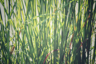 Similar image 8491042