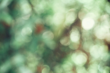 Similar image 8491054