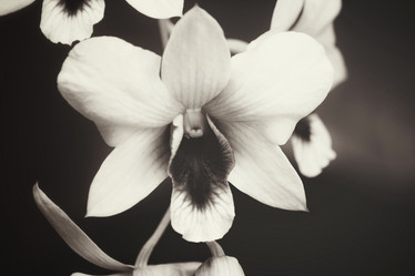 Similar image 8491055