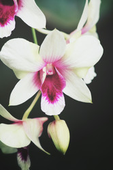 Similar image 8491057