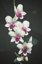 Similar image 8491059