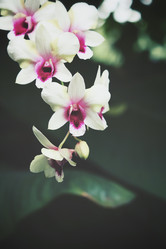 Similar image 8491061