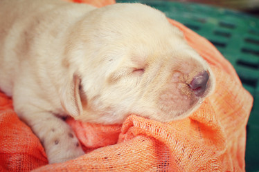 Similar image 8491072