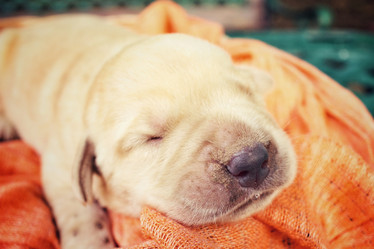 Similar image 8491083