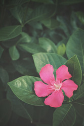 Similar image 8491109