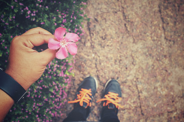 Similar image 8491110