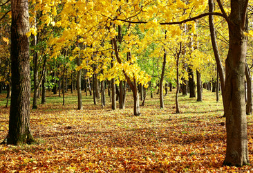 Similar image 8491144