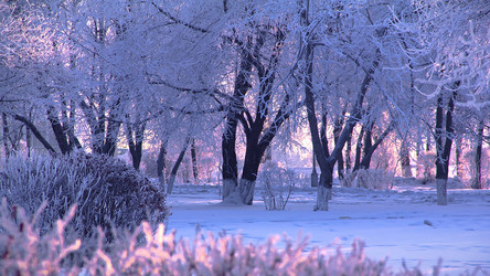 Similar image 8491145