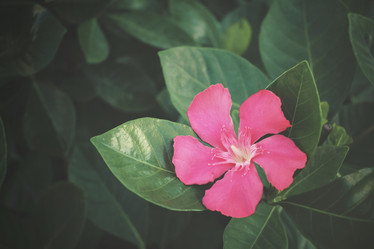 Similar image 8491148