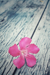 Similar image 8491150