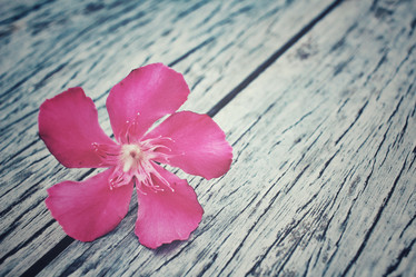 Similar image 8491151