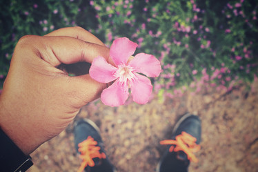 Similar image 8491152