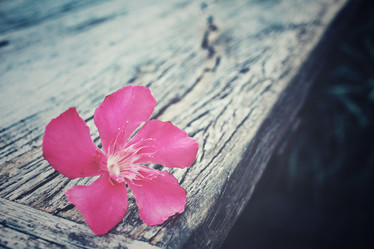 Similar image 8491156