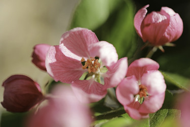 Similar image 8491163