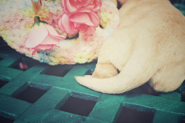 Similar image 8491164