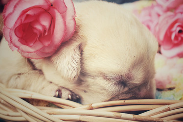 Similar image 8491169