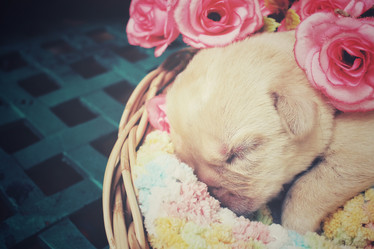 Similar image 8491171