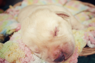 Similar image 8491172