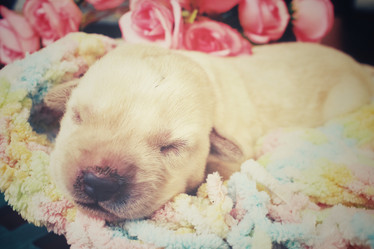 Similar image 8491173