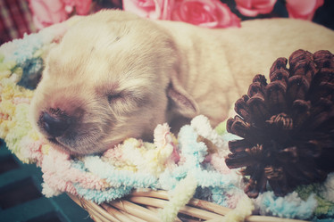 Similar image 8491174