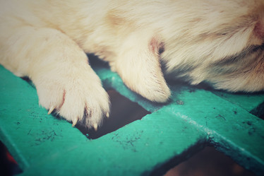 Similar image 8491175