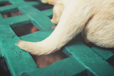 Similar image 8491177