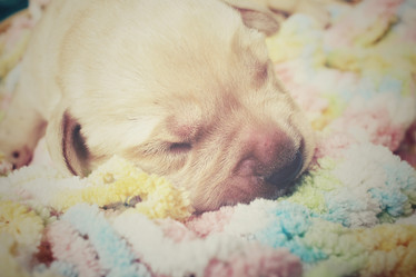 Similar image 8491179